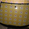 Стекло лобовое Toyota Noah/Voxy AZR60 (с антенной)