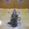 Ступица Nissan/Infiniti PY50/GY50/Y50/KV36/PV36/V36/J50 Fuga/Skyline#QX50/G35/G37/Q60 перед, лев 2WD ABS. Голая без диска и суппорта. 40015-EG000.40202-EG000
