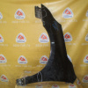 Крыло NISSAN Teana J32 перед, лев Дефект F3101-JN2MA