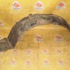 Подкрылок TOYOTA Vista SV50 перед, лев Дефект 53876-32080