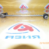 Стойка стабилизатора Toyota SV50/ZZV50/AZV50 Vista/Vista Ardeo F Линк. (яйцо)