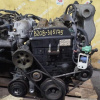 Двигатель Honda B20B-3115175 2WD/4WD БЕЗ ТРАМБЛЕРА Stepwgn RF2 '-1999