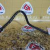 Клапан давления топлива Toyota 23270-28020/23270-28021 + 23901-28190 Estima ACR30/ACR40 2AZ-FE '02.2000-04.2003 + шланг ( эл. заслонка )