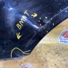 Крыло Hyundai Sonata NF/EK '2005-2010 перед, лев с повторителем (вмятины, царапины) 663103K200
