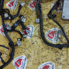 Коса ДВС Toyota 1NZ-FE Raum NCZ20 2WD a/t ДЕФЕКТ + компьютер 89661-46030 мех. заслонка ( акпп 9 конт. ) разъём компьютера в 4 ряда