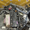 Двигатель Honda F18B-2113749 БЕЗ ТРАМБЛЁРА И КОНДЁРА Accord/Torneo CF3-1313815