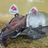 Коллектор выпускной Mitsubishi 4B11 Outlander GG2W 4WD CVT 1 VVTI 1555A718
