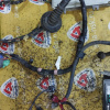 Коса ДВС Honda B20B Stepwgn RF2-1039160 4WD a/t S4TA+компьютер 37820-P3G-921+ 1 БЛОК РЕЛЕ 38250-S47-003 без датчика детонации селектор на 10 конт. тра