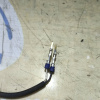 Датчик ABS Toyota Celica ZZT231 перед, прав Super Strut.НЕТ ФИШКИ, 2ZZGE 89542-20150