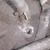 АКПП Hyundai Elantra G4EC/G4ED 1.5L 1.6L 4AT A4AF3 QSD XD '2006