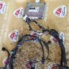 Коса ДВС Toyota 5E-FE Raum EXZ10-0129972 2WD/4WD a/t A244L/A244F без привода спид. кат. + комп. 8966146010 БЕЗ БЛОКА ПРЕДОХРАНИТЕЛЕЙ 8212146040 ПРОБЕГ