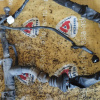 Коса ДВС Toyota 4E-FE Corolla EE111-5048958 a/t A132L кат. + комп. 89661-1A820 спид. трос. 82121-1N401 ПРОБЕГ 57 т.км