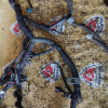 Коса ДВС Toyota 1AZ-FSE Nadia ACN10-0005554 2WD a/t A248E ( ДЕФЕКТ одного провода ) +компьютер 89661-44320 + 89871-20040 82121-44470