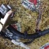 Коса ДВС Mazda ZL-DE Familia BJ5W-3186580 2WD a/t ДЕФЕКТ + компьютер ZL2818881B B30G67020B