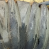Гофра впускного коллектора Toyota 3S-FE Nadia SXN10 резиновая ДЕФЕКТ ТРЕФИНЫ 17881-7A050