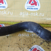 Патрубок  радиатора Mazda FS1E15185A MPV LWEW FS н F низ