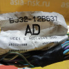 Коса ДВС Land Rover 204PT Range Rover Evoque L538 '2013 2.0L 16V TIVCT BJ3212B637AD, LR033045