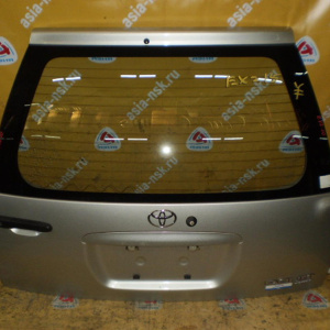 Дверь задняя TOYOTA Raum EXZ10/EXZ15