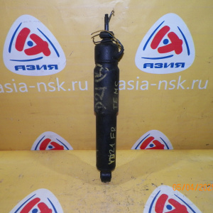 Амортизатор NISSAN YD21 F TEMS