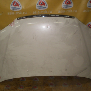 Капот HONDA Odyssey RA6 Дефект 60100-S3N-000ZZ