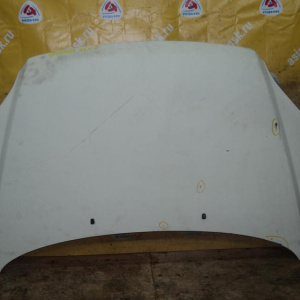 Капот KIA Sportage KM/JE/FQ '2004-2010 (дефект, ржавчина, вмятины) 664001F010