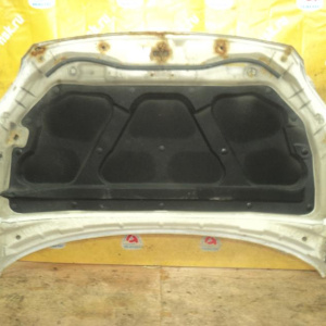 Капот KIA Sportage KM/JE/FQ '2004-2010 (дефект, ржавчина, вмятины) 664001F010