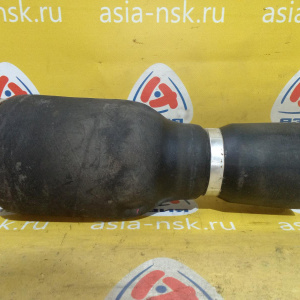 Подушка подвески пневматическая BMW X5 E53 '1998-2006 L R 3.0 - 4.8 S221A регул.дор.просвета EDC + S226A Спорт