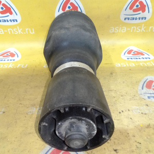 Подушка подвески пневматическая BMW X5 E53 '1998-2006 L R 3.0 - 4.8 S221A регул.дор.просвета EDC + S226A Спорт