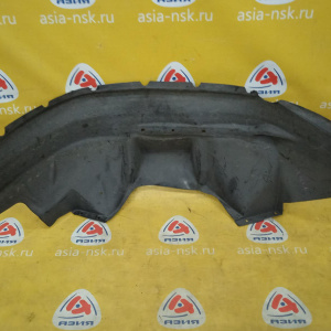Подкрылок Chevrolet TrailBlazer GMT360/GMT370/KC '2002-2009 перед, прав 15165308