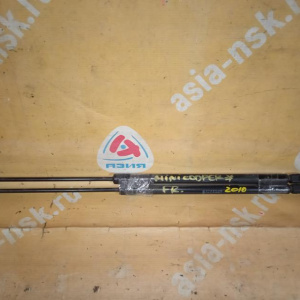 Амортизатор капота Mini Cooper R50/R52/R53 '2000-2006 (пара) 51237175020