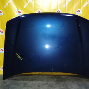 Капот Chevrolet TrailBlazer GMT360/GMT370/KC синий 12478013
