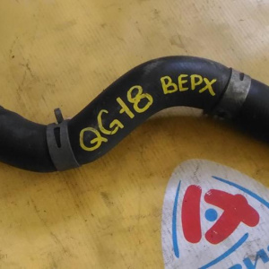 Патрубок  радиатора Nissan Bluebird Sylphy G10/Y11 QG18/QG15 в F верх.