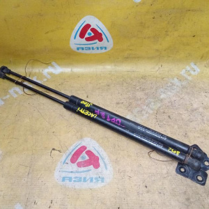 Амортизатор задней двери Chevrolet Lacetti J200/35 Универсал (пара) 96617850