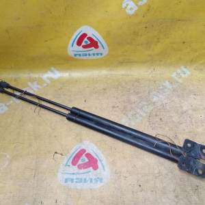 Амортизатор задней двери Chevrolet Lacetti J200/35 Универсал (пара) 96617850