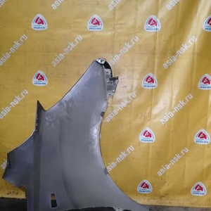 Крыло Hyundai H1/Grand Starex TQ '2007- перед, лев под повторитель