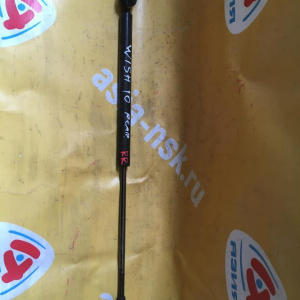 Амортизатор задней двери TOYOTA Wish ZNE10 зад, прав