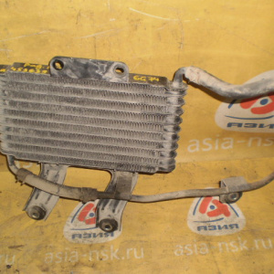 Радиатор масляный Mitsubishi MR453639 Pajero V75W 6G74 '1999-2006