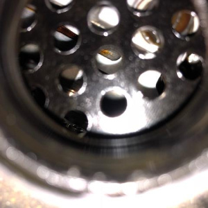 Двигатель Honda L15A-1551477 4 КАТУШКИ БЕЗ ГЕНЕРАТОРА И КОНДЕРА Fit GE8/GE9 '2010-