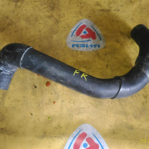 Патрубок  радиатора Nissan Cefiro A33 VQ20 R н F низ.