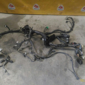 Коса ДВС Nissan QR25 X-Trail T31 4WD CVT разъем на генератор 2 конт.