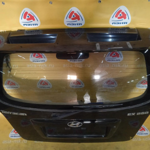 Дверь задняя Hyundai Terracan HP/EF '2003 в сборе (дефект, вмятина)