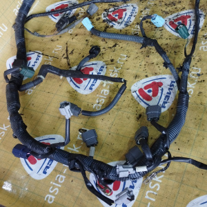 Коса ДВС Nissan QG18-DE Bluebird Sylphy QNG10-001413 '08.2000-02.2003 4WD a/t OLD, ДЕФЕКТ КОСЫ ,лямбда зонт на 3 конт. голубого цвета 24011-6N010 / 24