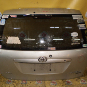 Дверь задняя Toyota Corolla Fielder ZZE120 '2002-2004 Дефект