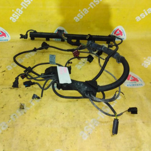 Коса ДВС BMW M54B22/M54B25/M54B30 5-Series E60/E61 '2004 RHD-правый руль (без одной фишки)