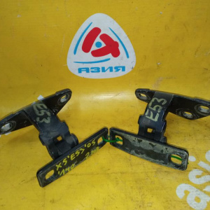 Петля двери BMW X5 E53 '1999-2006 R н 5-й двери пара нижние чёрные 8402183 41627006120