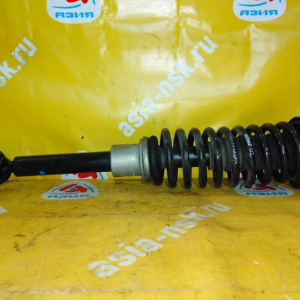 Стойка Mercedes W211/S211 E-Class OM642D30 F 2WD L=R A2113239200