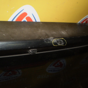 Дверь задняя TOYOTA RAV4 ACA20 дефект LHD (без накладки)