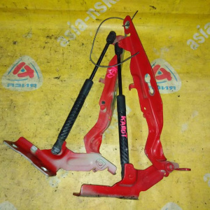 Петля капота Volvo S60/V60 FS/FW пара с аморизаторами 30799178