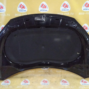 Капот Volkswagen Tiguan 5N1/5N2 LC9X (вмятины, царапины) 5N0823031D