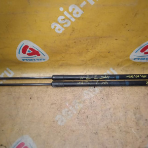 Амортизатор капота Mercedes E-Class W204/W212 пара A2129800064, A2129800564 A2048800029